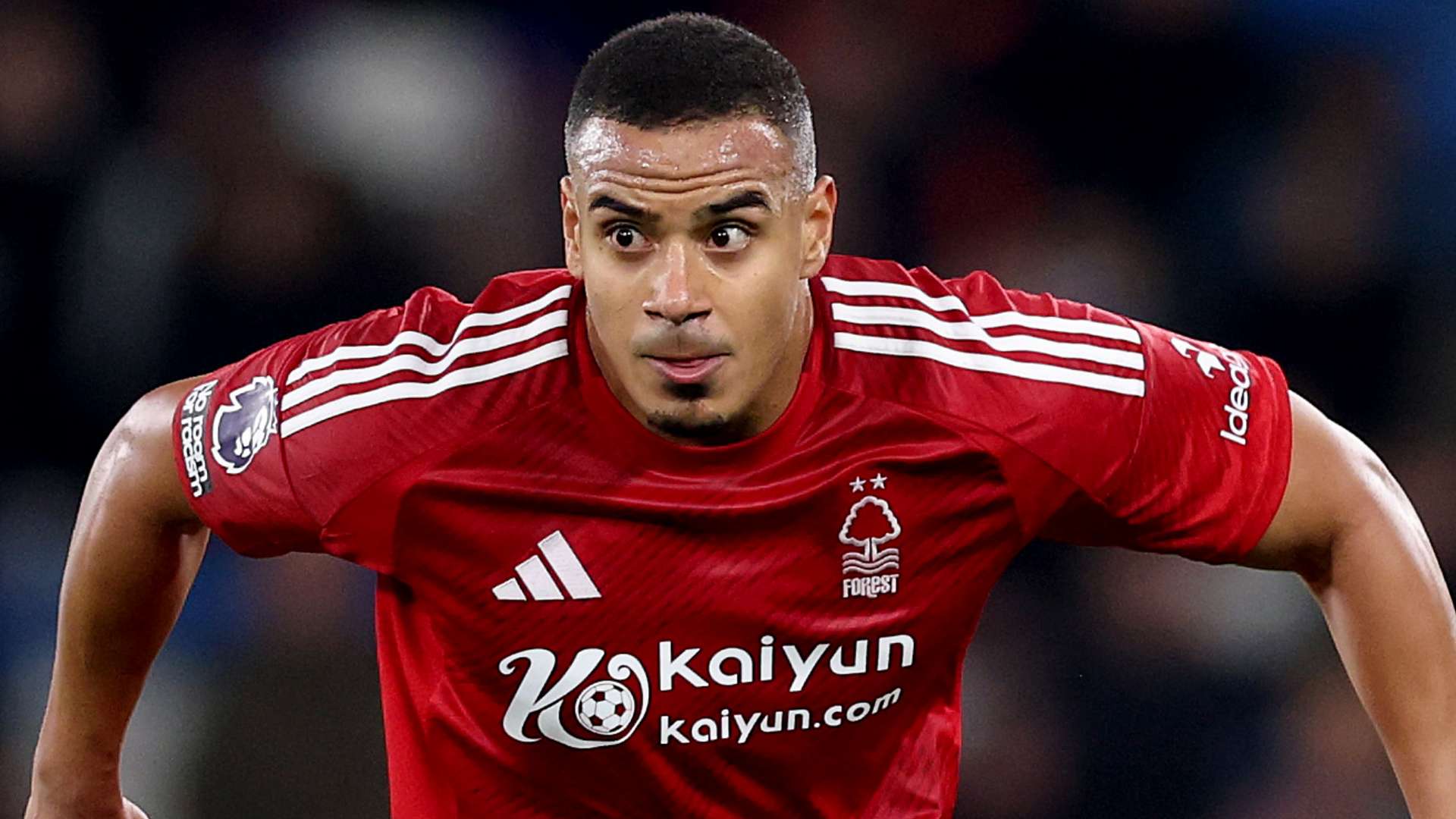 赛相关的球 赛相关的球