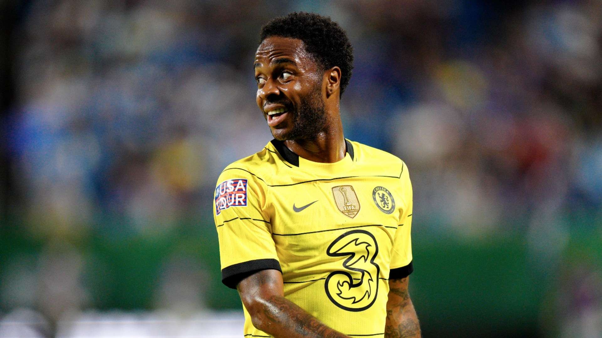 自然会受到 自然会受到